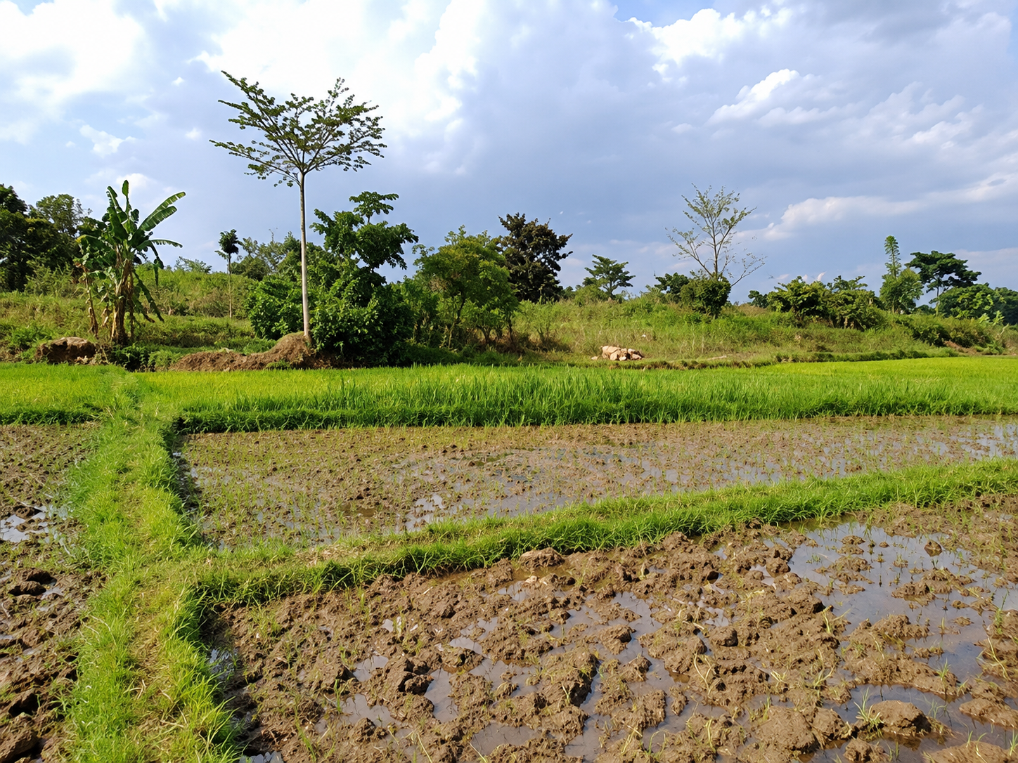 Farmland acquired for Store of Hope Orphanage